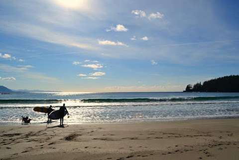 cove adventure tours cove adventure tours